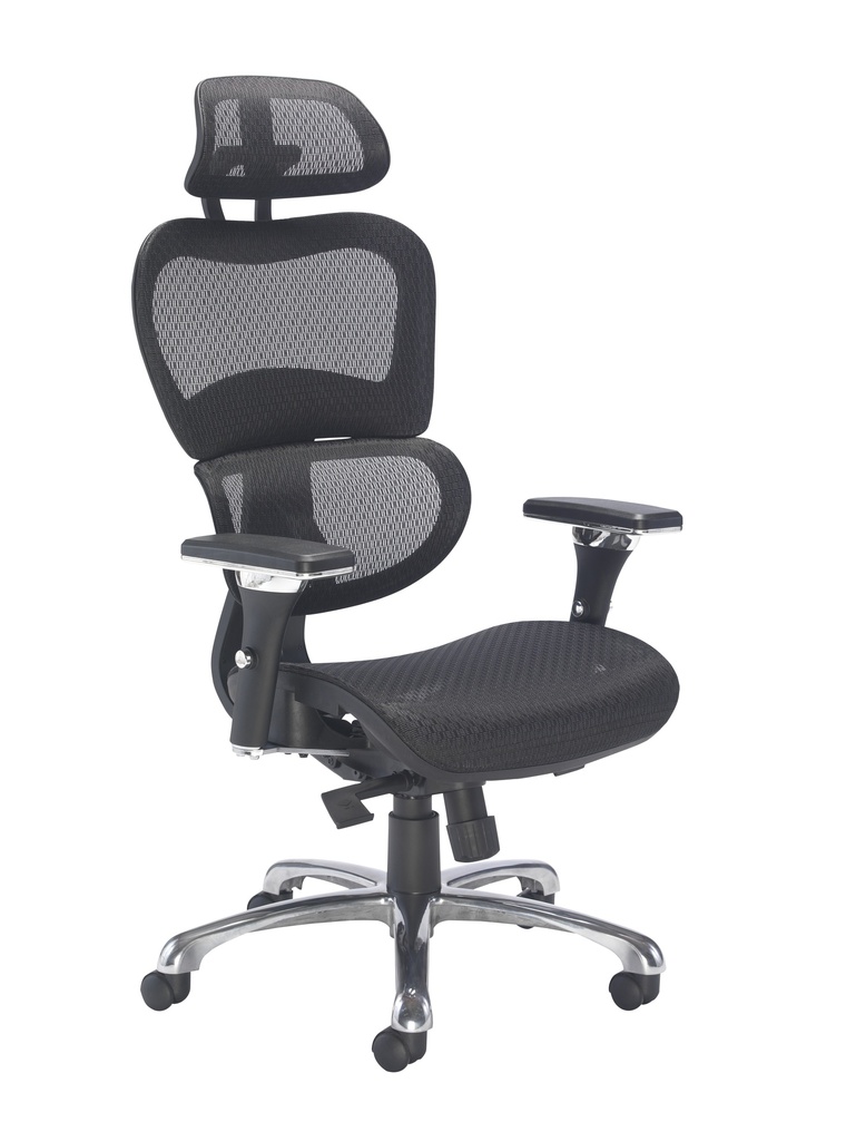 Chachi Ergonomic Office Chair